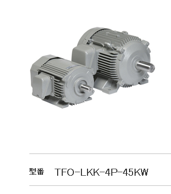 日（rì）立電動機型號TFO-LKK-45KW-380V-4P-GB...